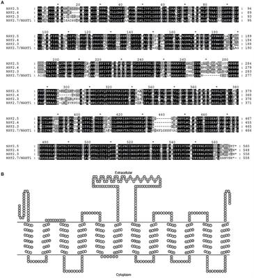 AtNPF2.5 Modulates Chloride (Cl−) Efflux from Roots of Arabidopsis thaliana